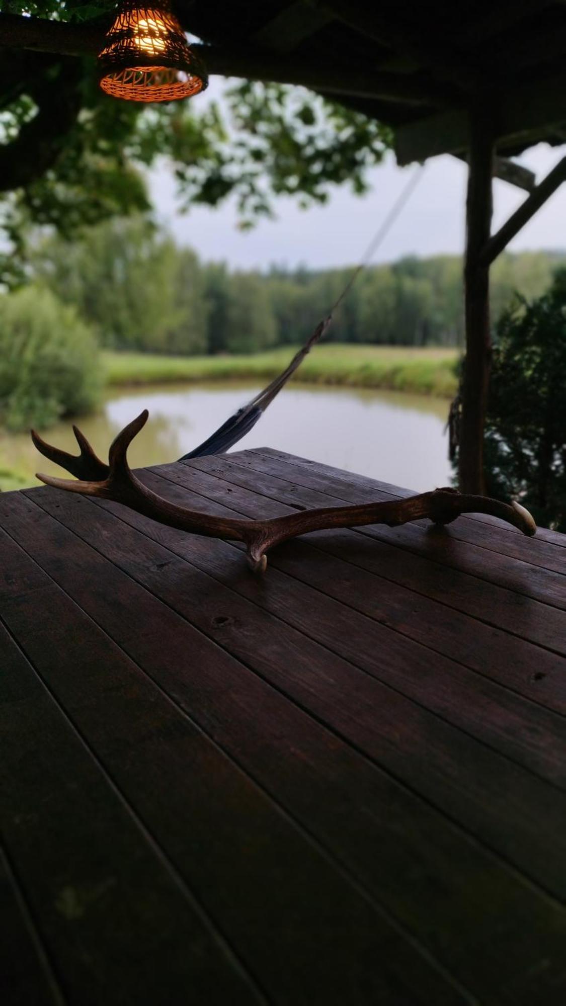 Guesthouse, Sauna & Jacuzzi In Gauja Valley - Kakukalns Straupe 外观 照片
