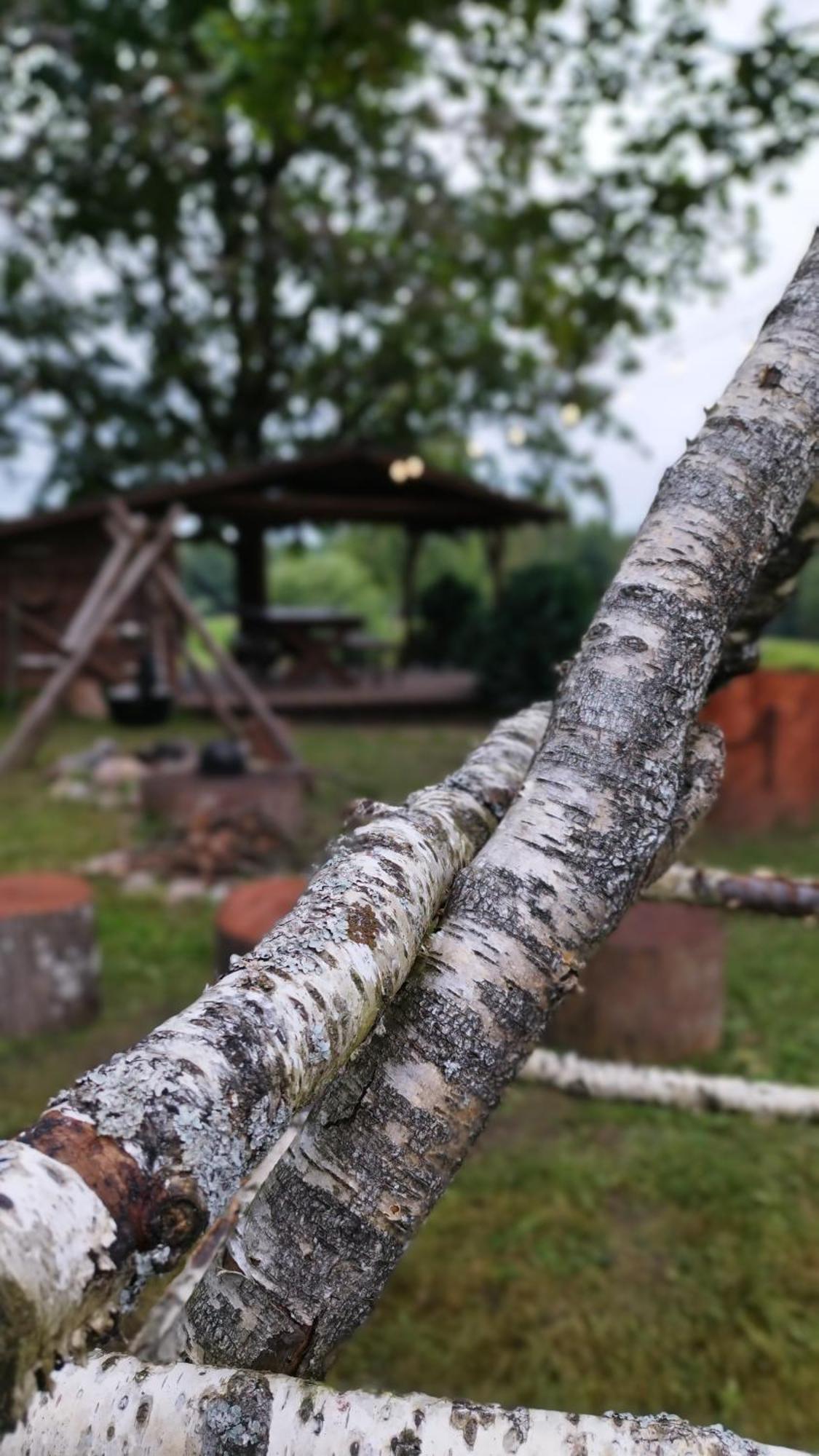 Guesthouse, Sauna & Jacuzzi In Gauja Valley - Kakukalns Straupe 外观 照片