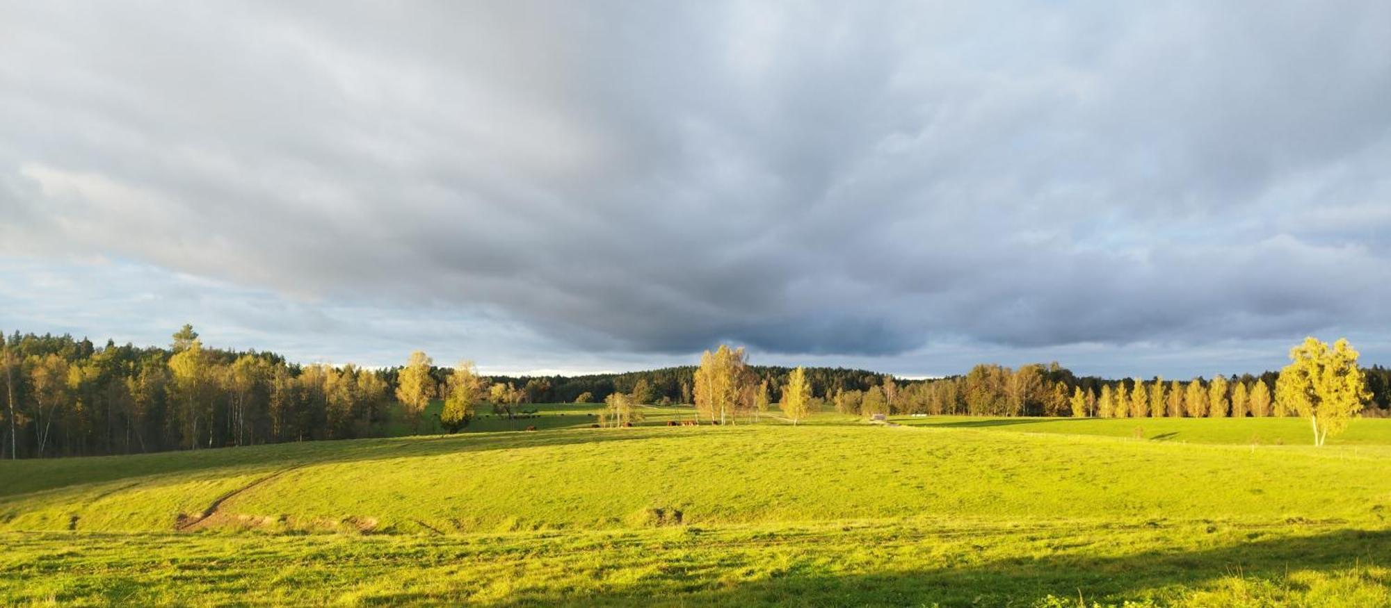 Guesthouse, Sauna & Jacuzzi In Gauja Valley - Kakukalns Straupe 外观 照片