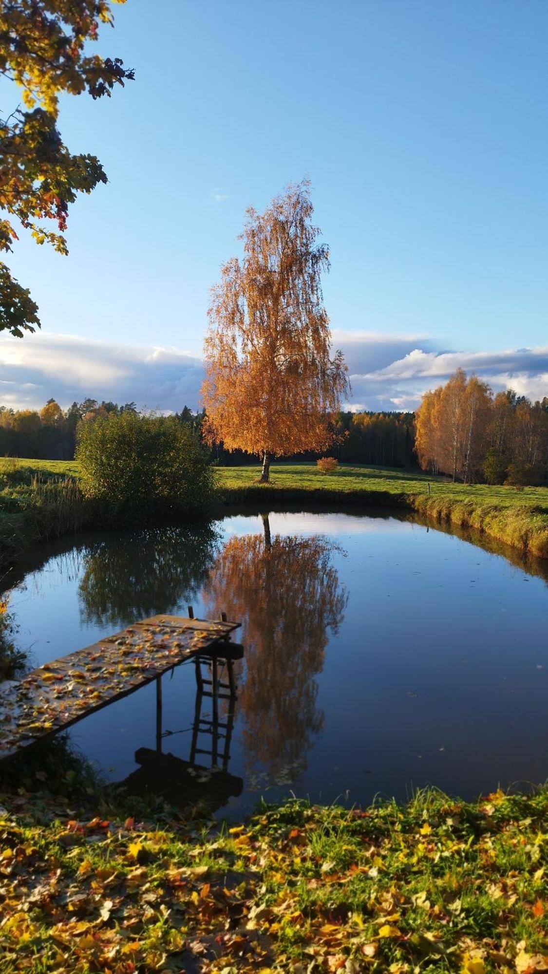 Guesthouse, Sauna & Jacuzzi In Gauja Valley - Kakukalns Straupe 外观 照片