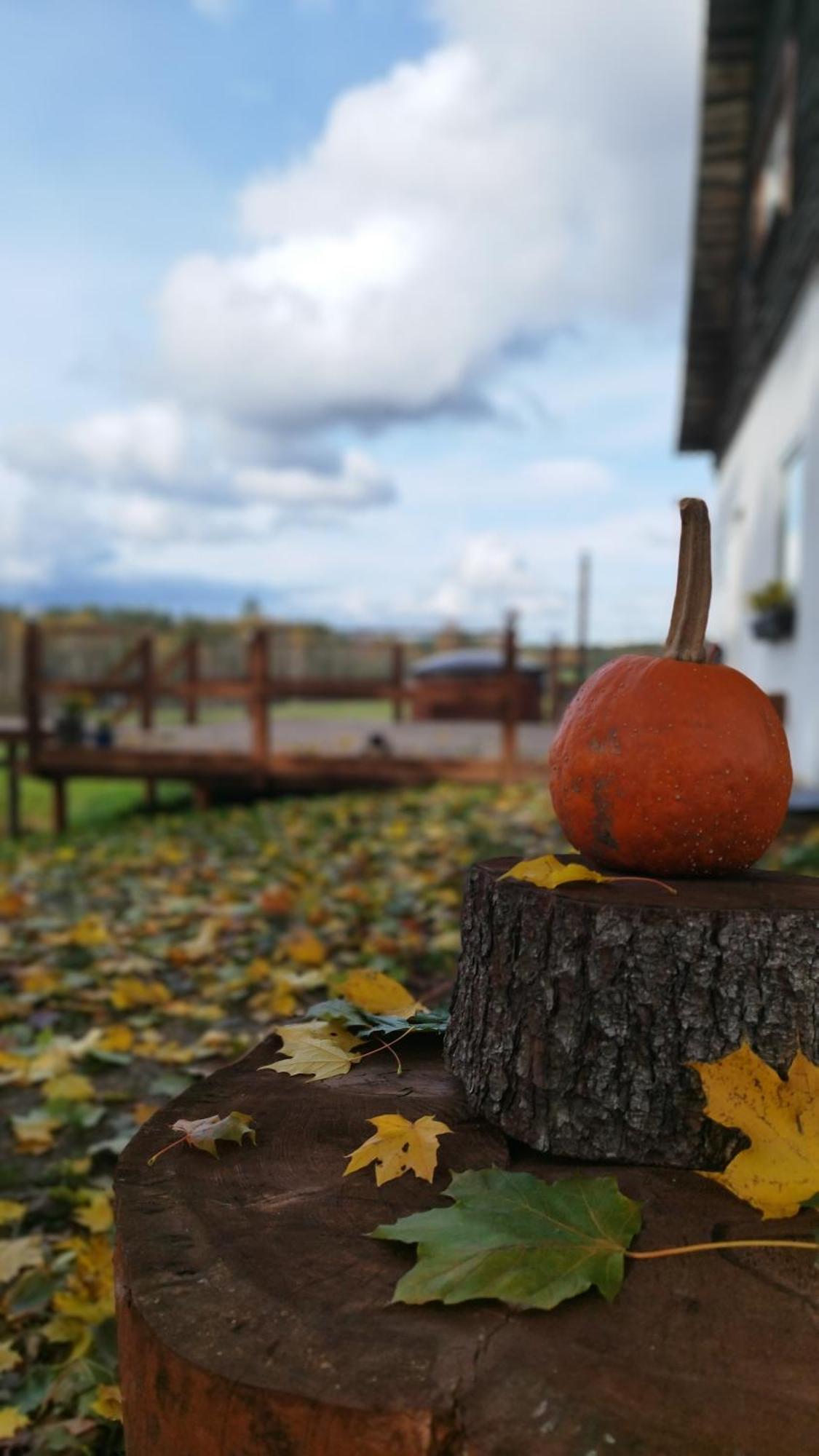 Guesthouse, Sauna & Jacuzzi In Gauja Valley - Kakukalns Straupe 外观 照片